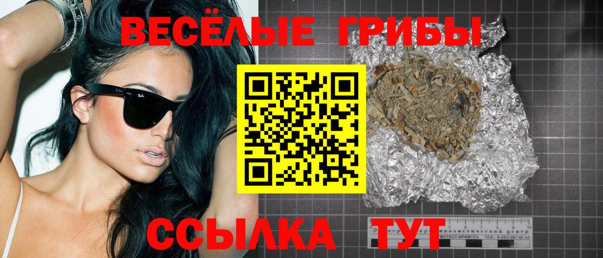 Галлюциногенные грибы прущие грибы  Галлюциногенные грибы мицелий  Иваново  Вход с VPN 