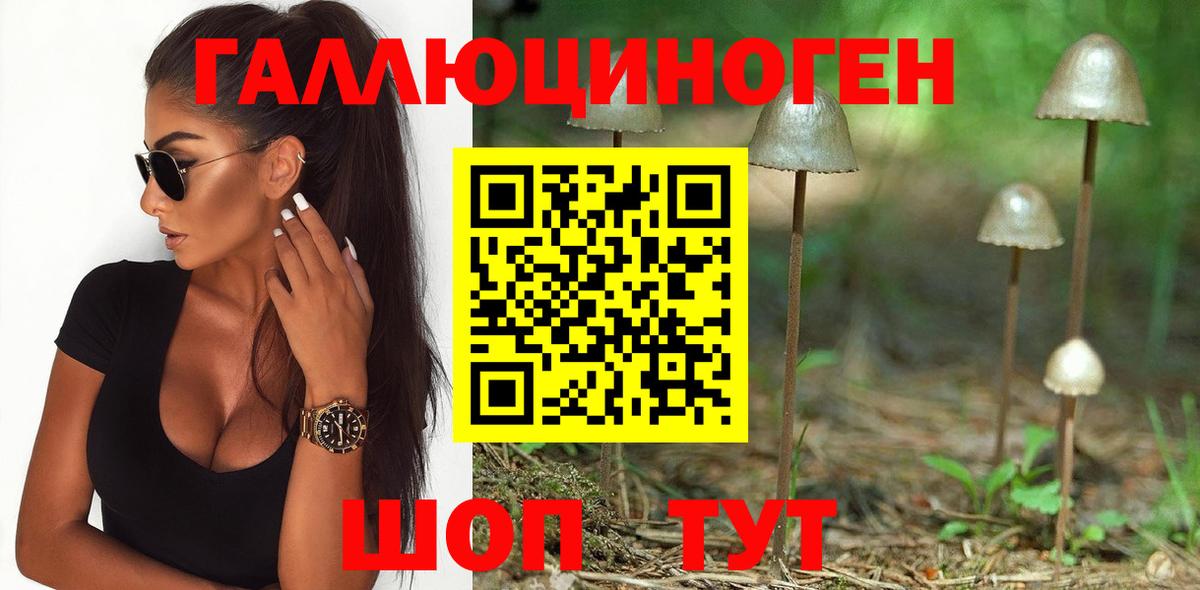 Галлюциногенные грибы Cubensis Иваново